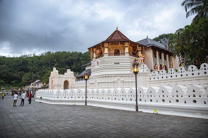 エコレジャータクシーでスリランカ全土のインバウンドツアーをカスタマイズ