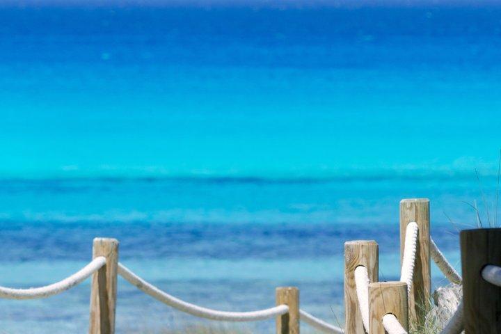 イビサ - フォルメンテーラ海体験、フィゲレタス発