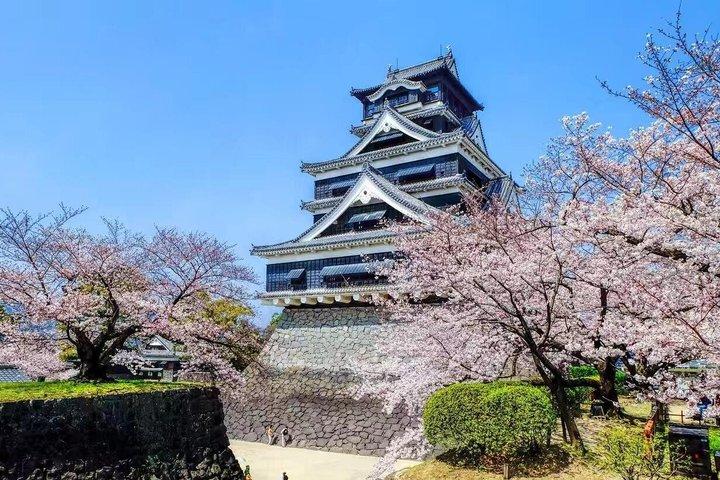 Kumamoto Castle, Mount Aso und Kusasenri 1 Tagestour