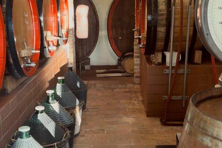 シエナ：キャンティワインツアー（試飲とランチ付き）