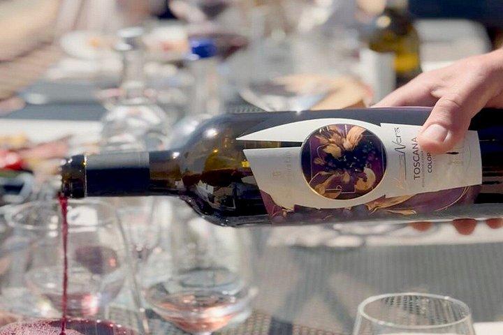 シエナ：キャンティワインツアー（試飲とランチ付き）