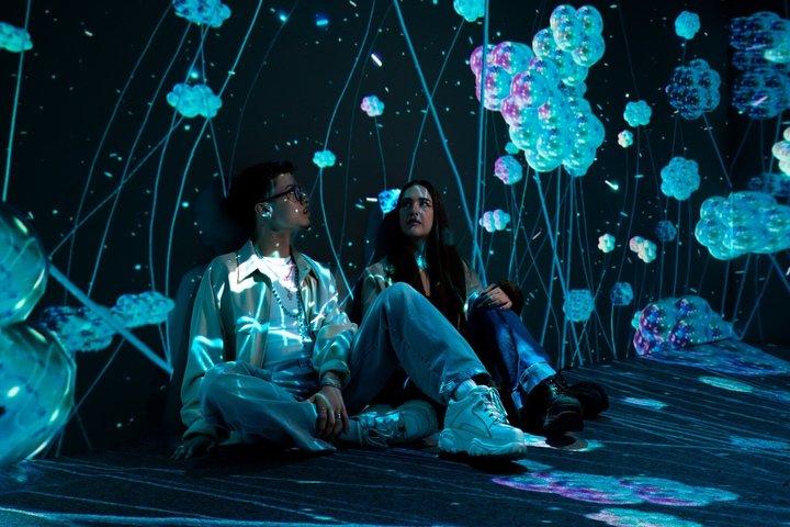 Cinema Mystica 没入型アート体験チケット
