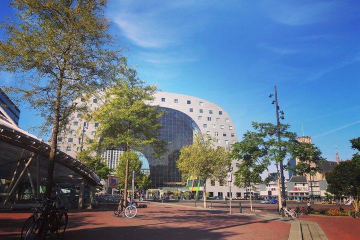 ロッテルダム・デルフトとハーグ・プレミアム日帰りツアー（ホテルピックアップ付き）