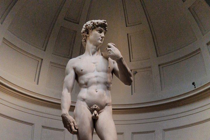 El David de Miguel Ángel : Galería de la Academia Visita guiada de un día gratis
