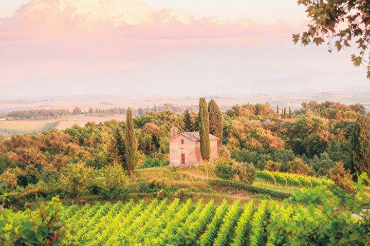 Degustazione Classic tra vini e prodotti tipici toscani