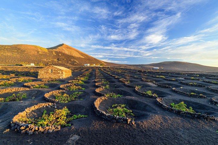 Hoteller i nærheden af Lanzarote South Zone Private Shore Tour