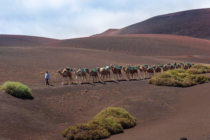 Hoteller i nærheden af Lanzarote South Zone Private Shore Tour