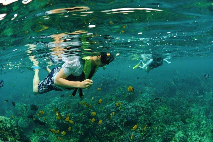 Incredibile snorkeling di un'intera giornata a Nusa Penida con Manta Rays