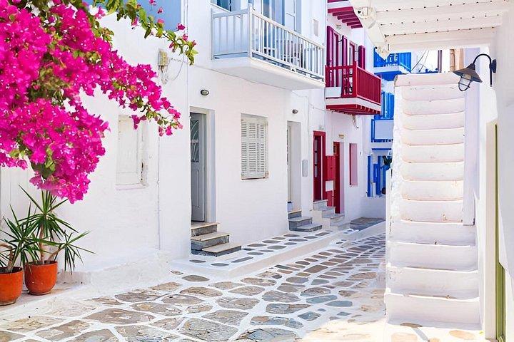 Mykonos tur for krydstogtskibe gæster