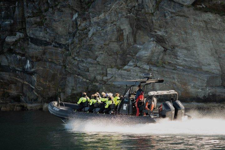 Hoteller i nærheden af Saltstraumen and Eagle Safari