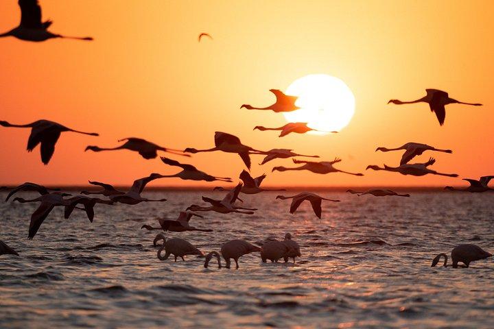 7 Day Northern Namibia and Skeleton Coast Camping Safari