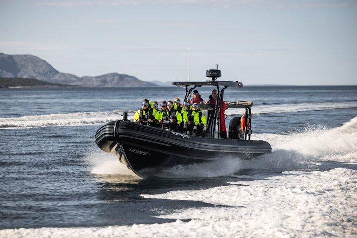 Hoteller i nærheden af Saltstraumen and Eagle Safari