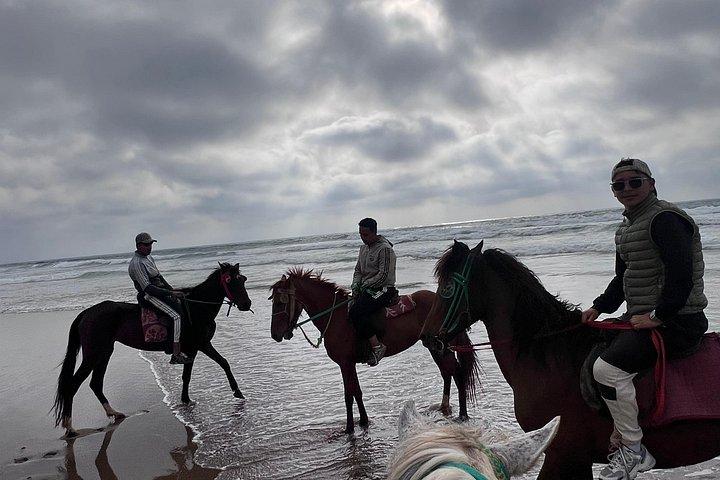アガディール：ホテル送迎付き乗馬ビーチ体験