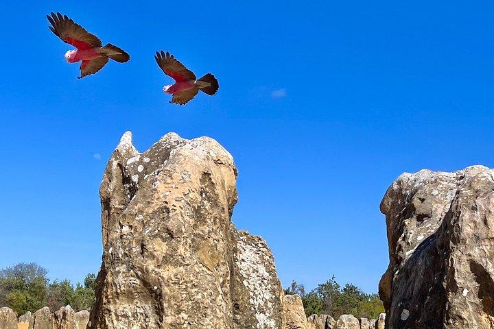 4x4 Pinnacles Desert & Turquoise Coast Small Group Experience