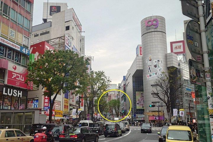 東京 : 渋谷7 - 日本語の居酒屋でベジタリアンディナーを料理