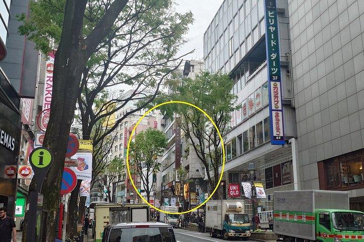 東京 : 渋谷7 - 日本語の居酒屋でベジタリアンディナーを料理
