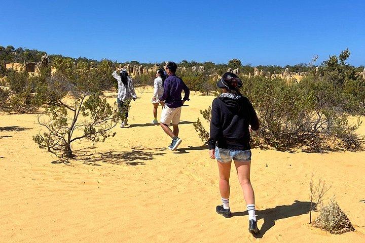 4x4 Pinnacles Desert & Turquoise Coast Small Group Experience