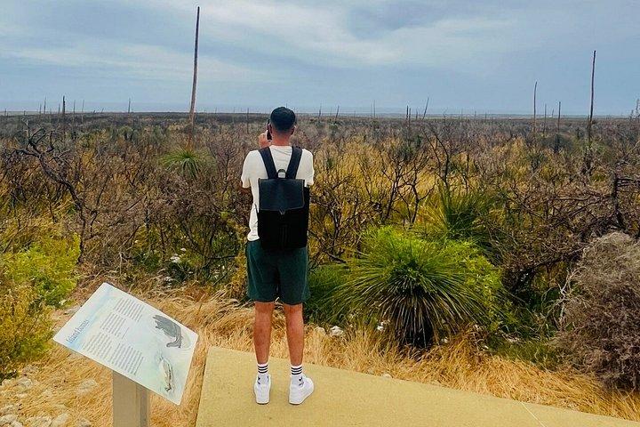 4x4 Pinnacles Desert & Turquoise Coast Small Group Experience