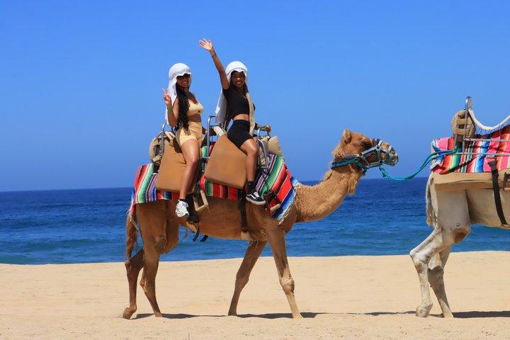 Camel Ride Family Adventure in Los Cabos with Tequila Tasting