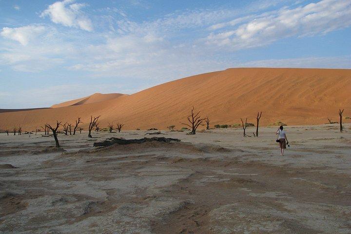 6 Day Sand, Sea & Etosha Budget Camping Safari