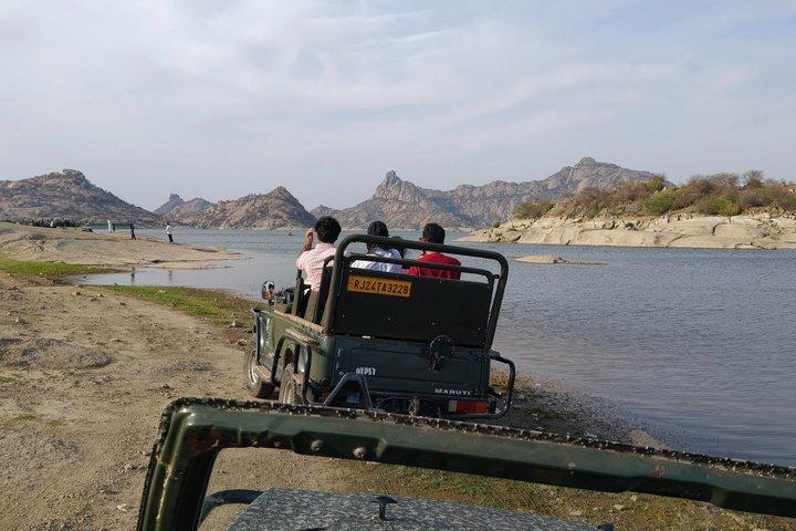 Visite guidée du temple d'Udaipur à Jodhpur Jawai Leopard Safari et Ranakpur