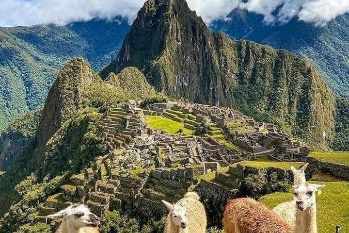 Machu Picchu Tagesausflug von Cusco