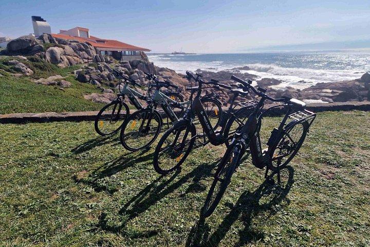 ポルト、マトジーニョス＆レッサでのプライベートEバイクツアー、数回のテイスティング付き