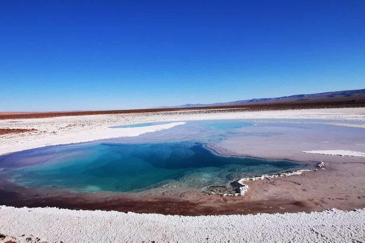 Hidden Lagoons of Baltinache Tour from San Pedro de Atacama