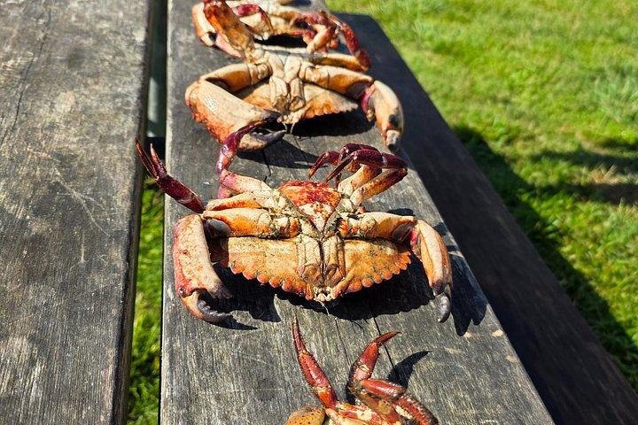 Catch and Cook Crabbing Experience under Golden Gate Bridge SF