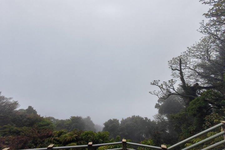 ポアス火山とスターバックスコーヒーテイスティングセミプライベートツアー