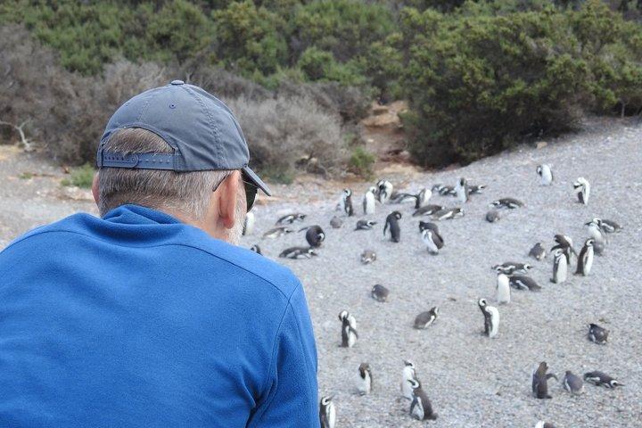 プンタ・トンボとイスラ・エスコンディーダで動物ウォッチング