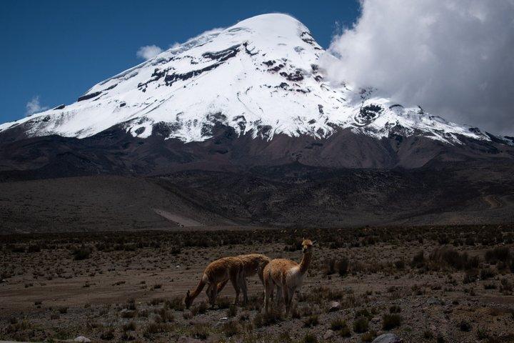 Chimborazo heldagstur