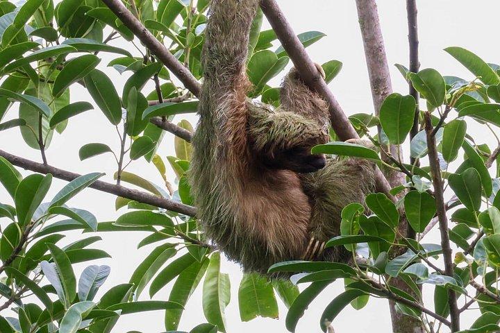 Private Wildlife Walk, Coffee Experience and Traditional Lunch