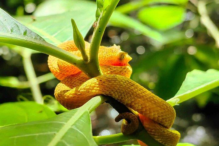 Private Wildlife Walk, Coffee Experience and Traditional Lunch