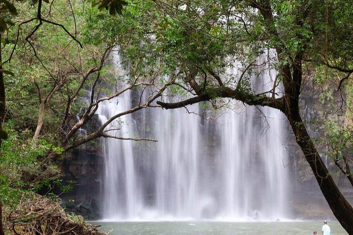 Private Wildlife Walk, Coffee Experience and Traditional Lunch