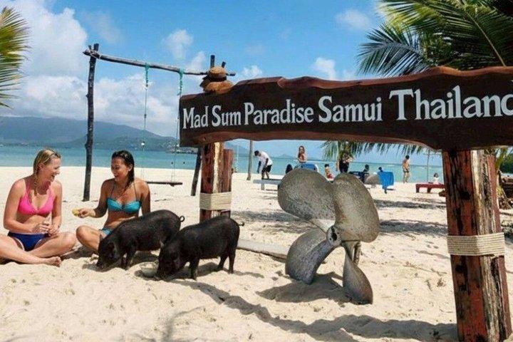 Koh Samui: Viewpoint, Elephant, Pig Island & Snorkel + Lunch