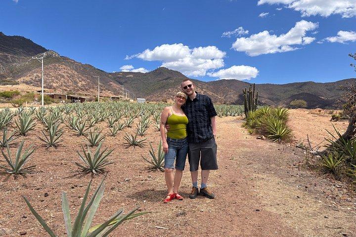 Authentic Mezcal Experience Oaxaca Small Group Local Producers