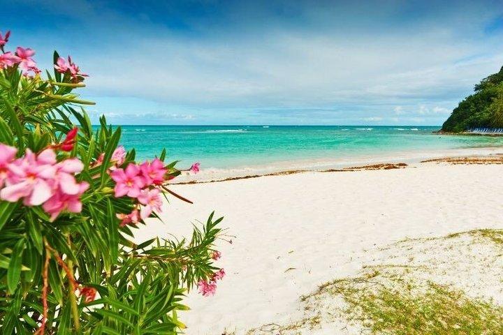 Visite de l'île Flava Beach Hop