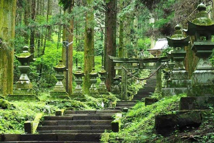 Visite d'une journée du sanctuaire Kamishikimi Kumanoimasu à Miyazaki