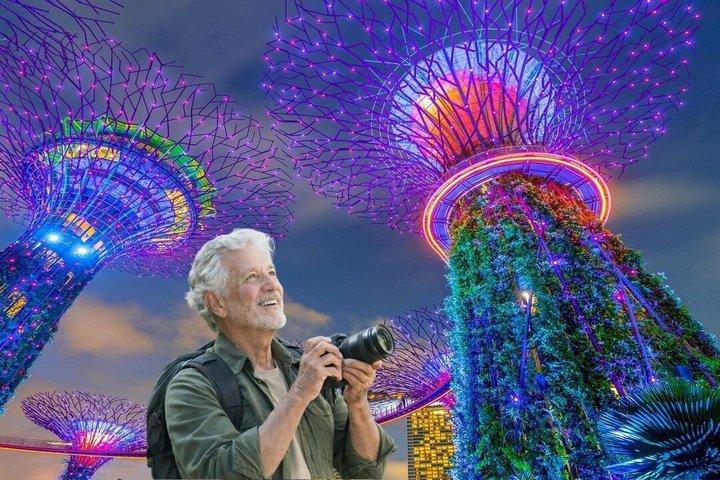 シンガポールの光から夜へ : リバークルーズ＆02 驚きの光のショー
