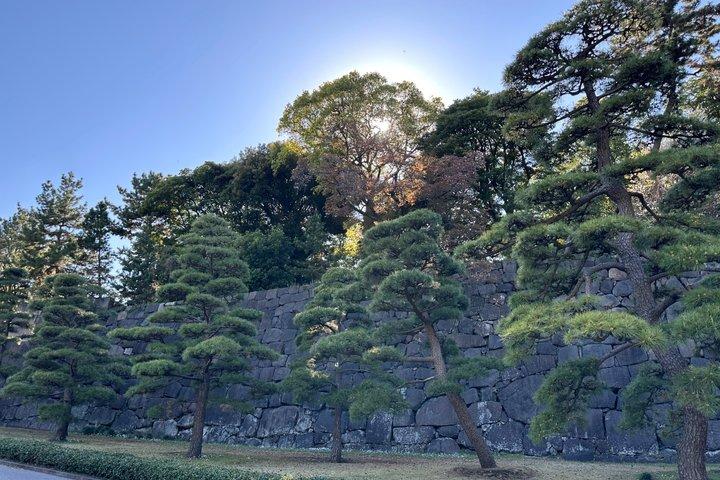 東京: 皇居と将軍歴史散策ツアー
