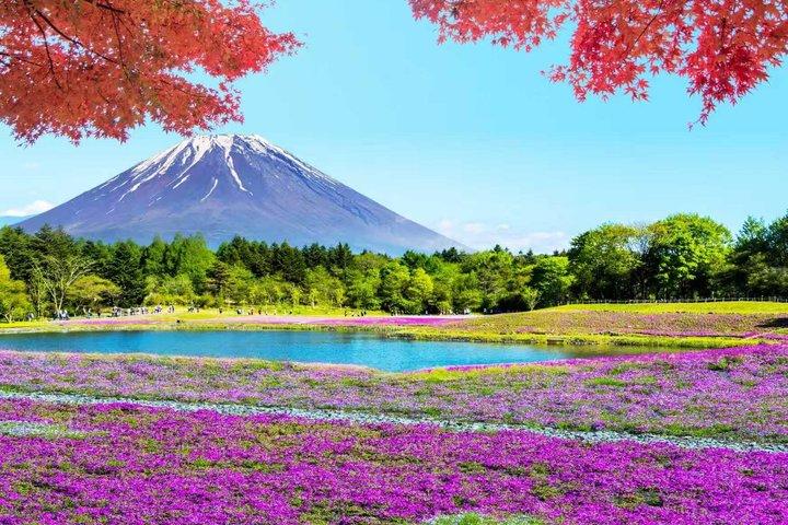 Hoteller i nærheden af Mt. Fuji Two Lakes Swan Cruise and Hot Spring One Day Tour