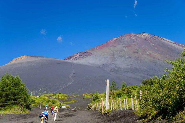 Hoteller i nærheden af Mt. Fuji Two Lakes Swan Cruise and Hot Spring One Day Tour