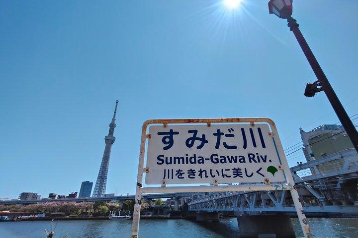 Tokyo Private Tour : Eintägige Highlights