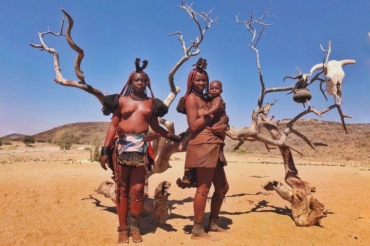 ウィントフックの6日間の砂丘と野生生物に対応したサファリ