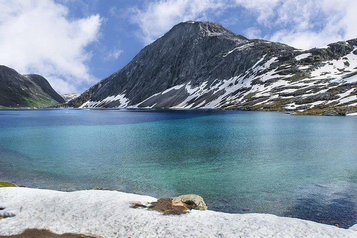 北極フィヨルドと海岸風景ロードトリップ
