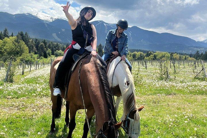 ボロヴェッツでのオールインクルーシブ乗馬と陶芸の日