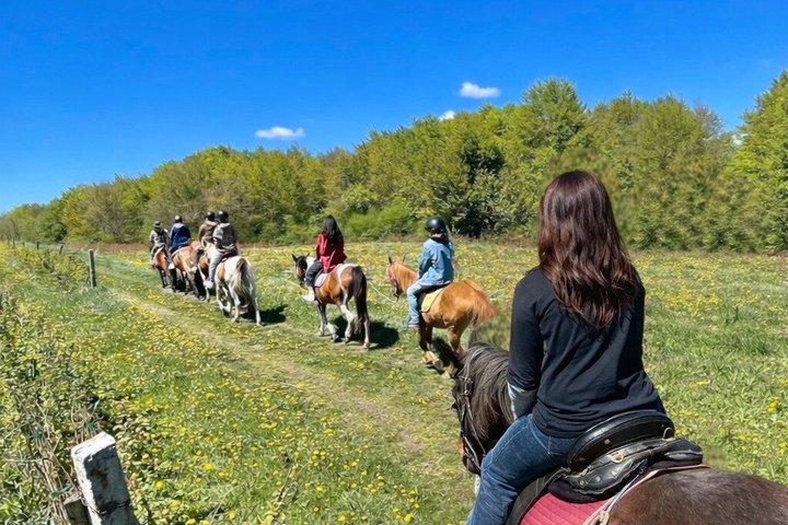 All inclusive Horse Riding and Ceramics Day in Borovets