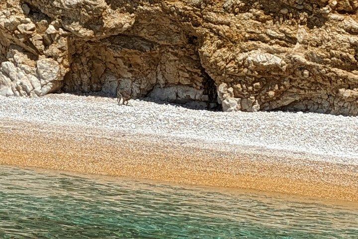 3,5h Voyage public à la baie de Stara Baška