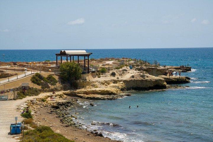 Tour del mercato tradizionale di Benidorm: un'esperienza locale